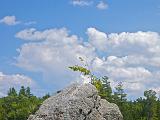 Weller Pond 23 : Vermont Canoe Spring